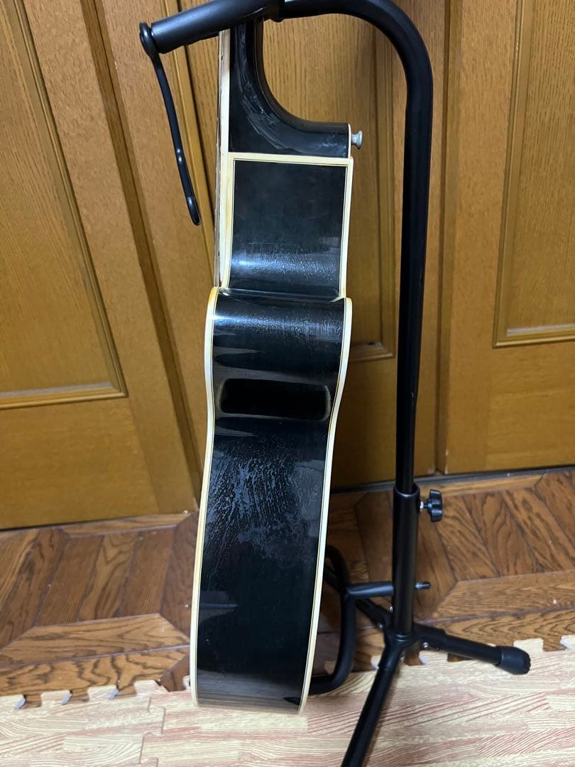 Takamine　NPT110-12　12弦Guitar ハードケース付き