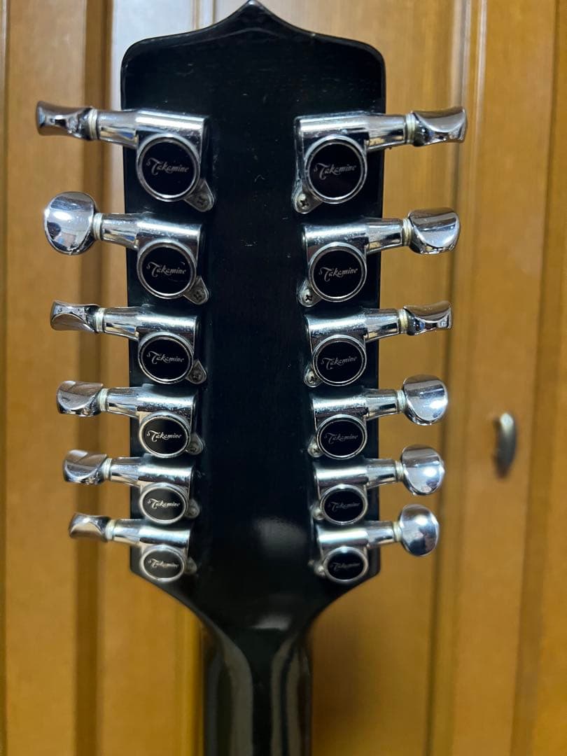 Takamine　NPT110-12　12弦Guitar ハードケース付き