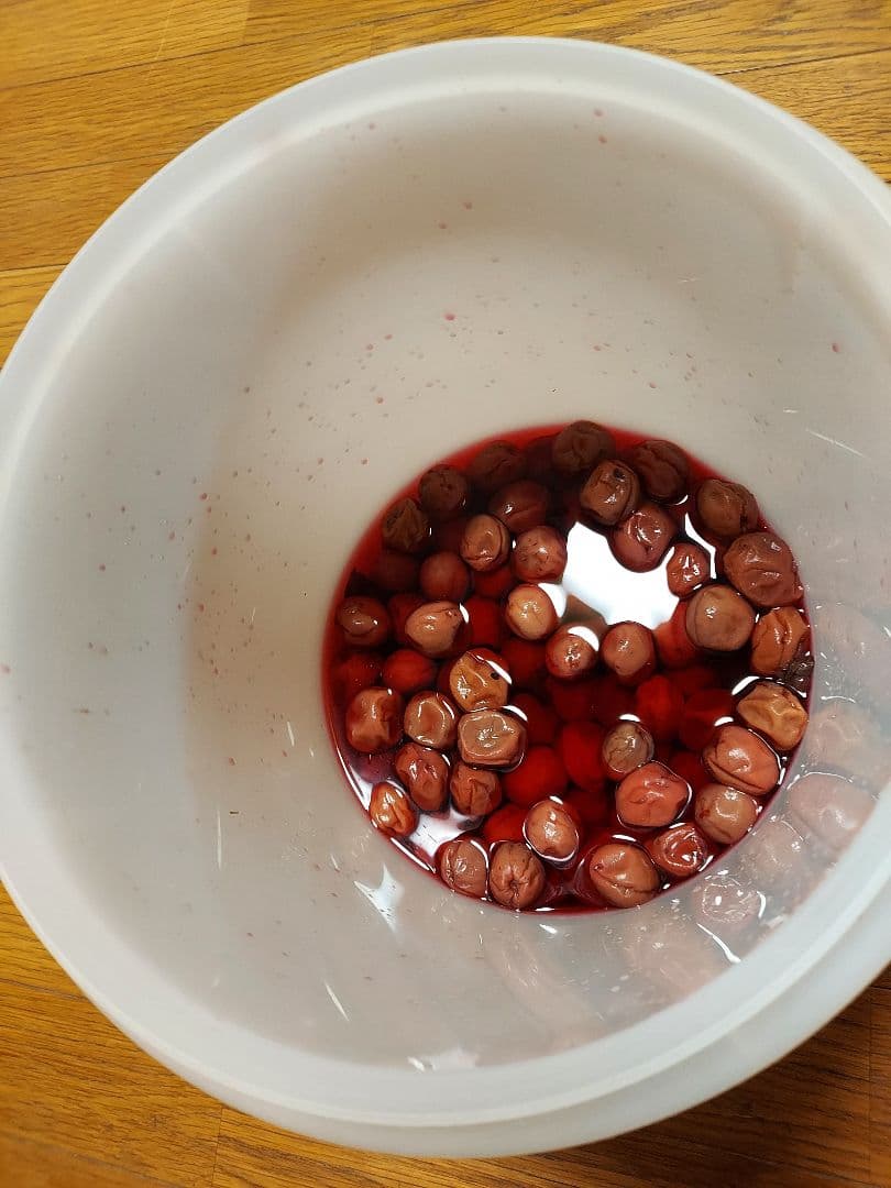 食品保存容器 プラスチック ジャイアント赤、マキシクィーン
