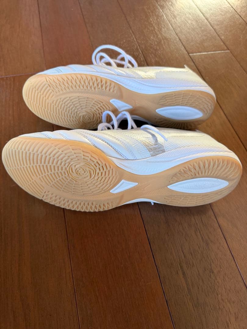 Mizuno フットサルシューズ