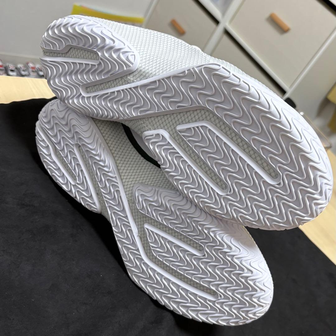 シューズ(男性用) Nike LeBron 23 EP 27.5cm