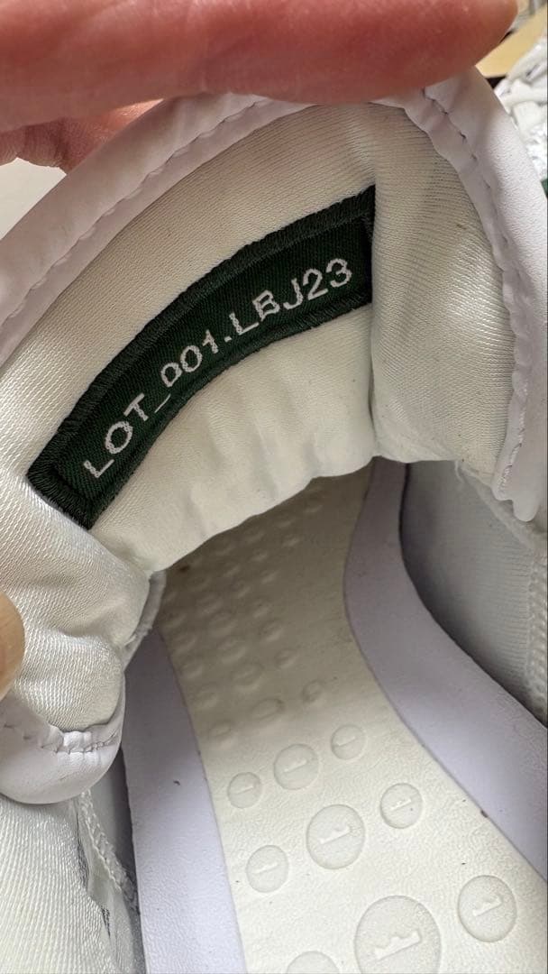 シューズ(男性用) Nike LeBron 23 EP 27.5cm