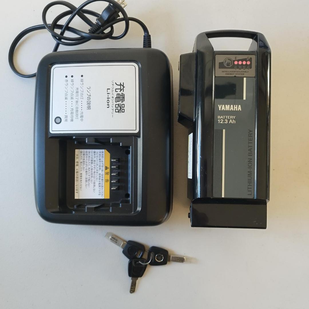 ヤマハ 電動自転車 PAS With PA24W 12.3Ah 24型 2022