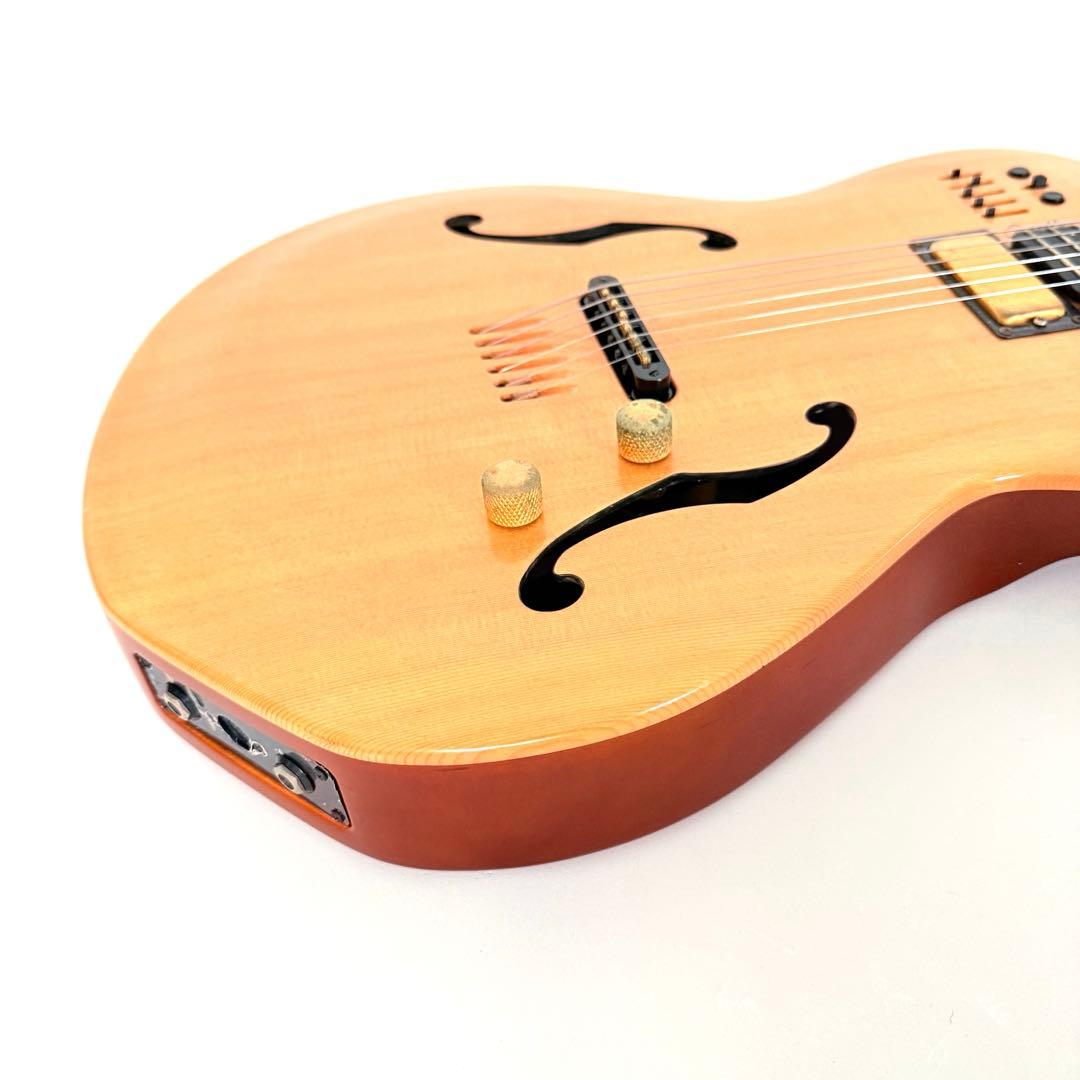 【希少】GODIN MULTIAC JAZZ SA セミアコースティックギター