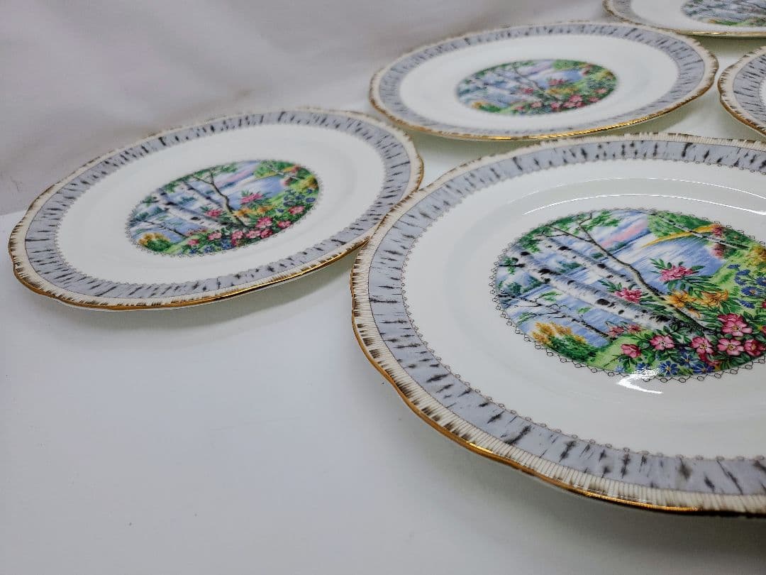 ①ロイヤル アルバート Silver Birch プレート　大皿　5枚　26cm