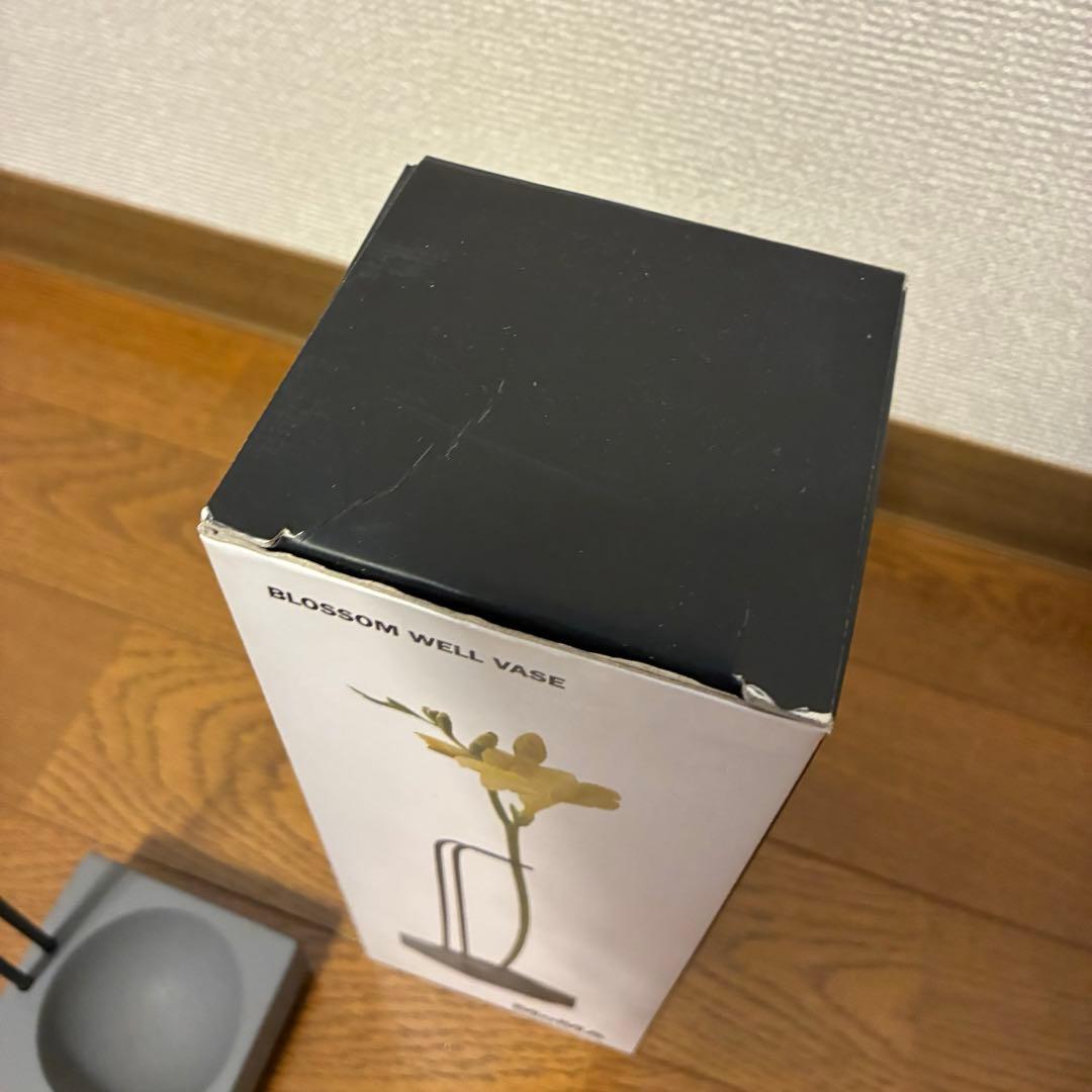 【廃盤品】MoMA モマ ブロッサム ウェル ベース セメント