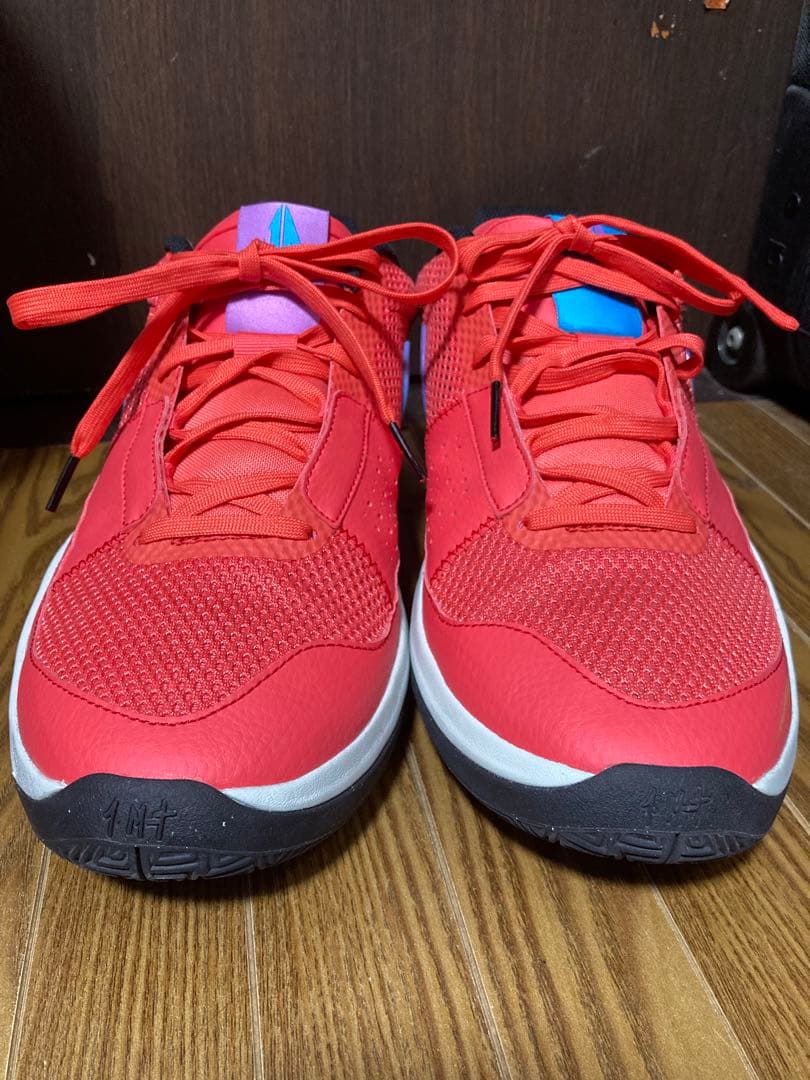 シューズ(男性用) Nike JA1 29cm