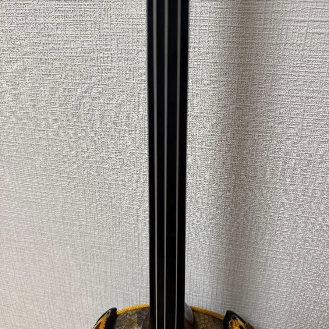 沖縄三線 人工皮 蛇柄 初心者向け 練習用 黒塗り棹