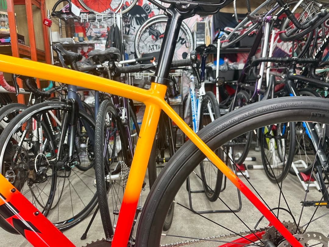 TREK油圧ディスク！EMONDA ALR4！基本分解発送送料無料！完成車配送も