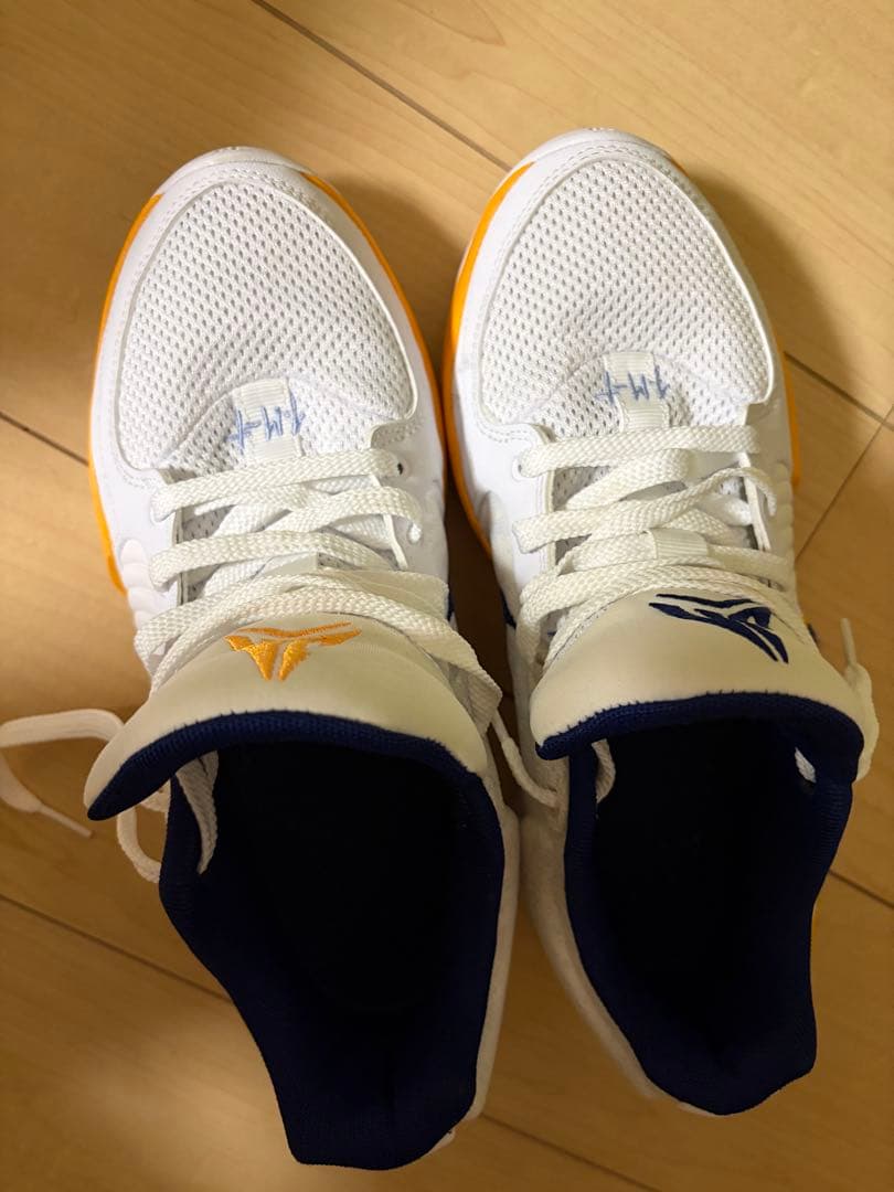 Nike バスケットボールシューズJA2