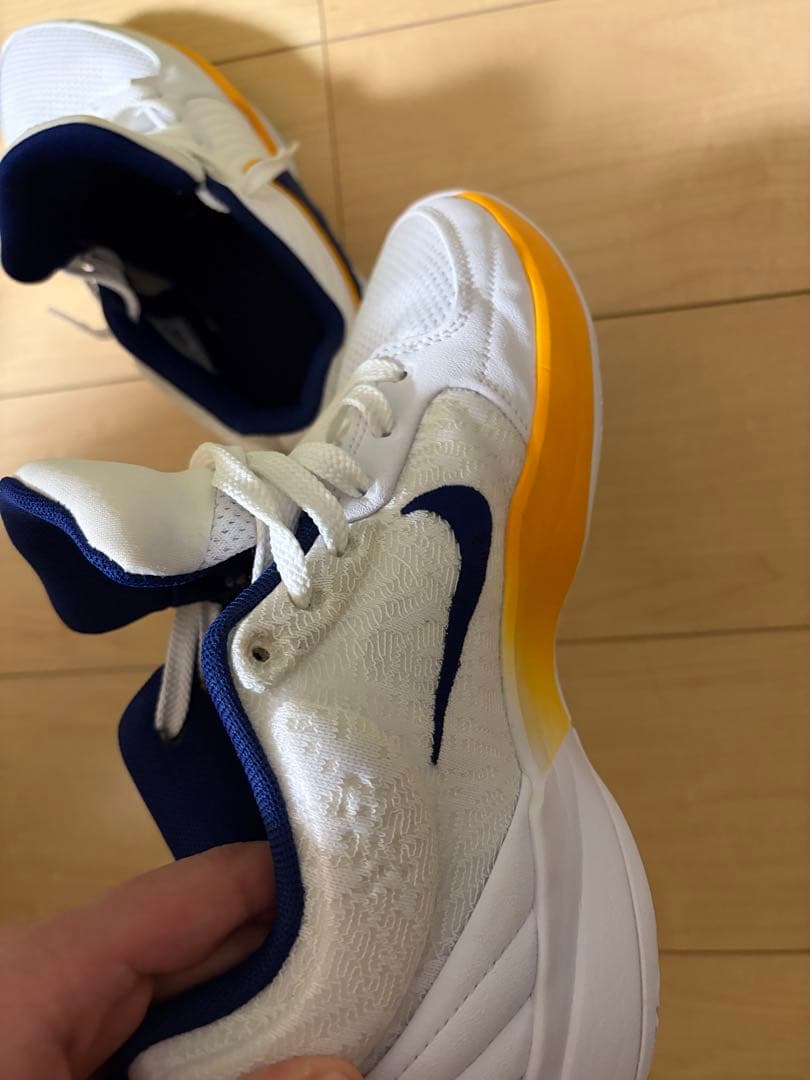 Nike バスケットボールシューズJA2