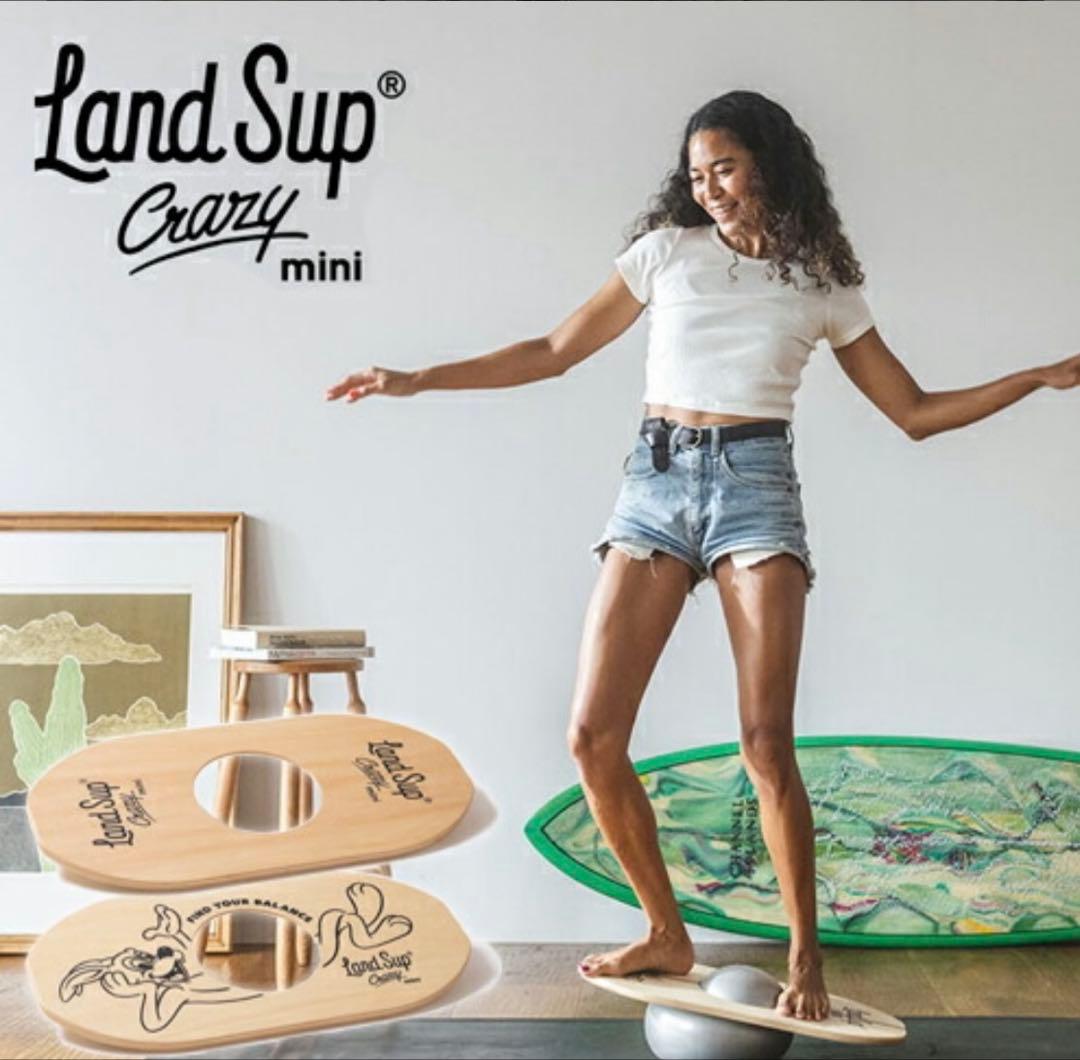Land sup Crazy mini バランスボード　ランドサップ
