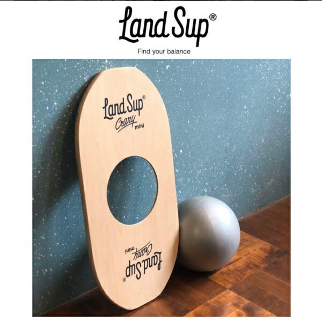Land sup Crazy mini バランスボード　ランドサップ