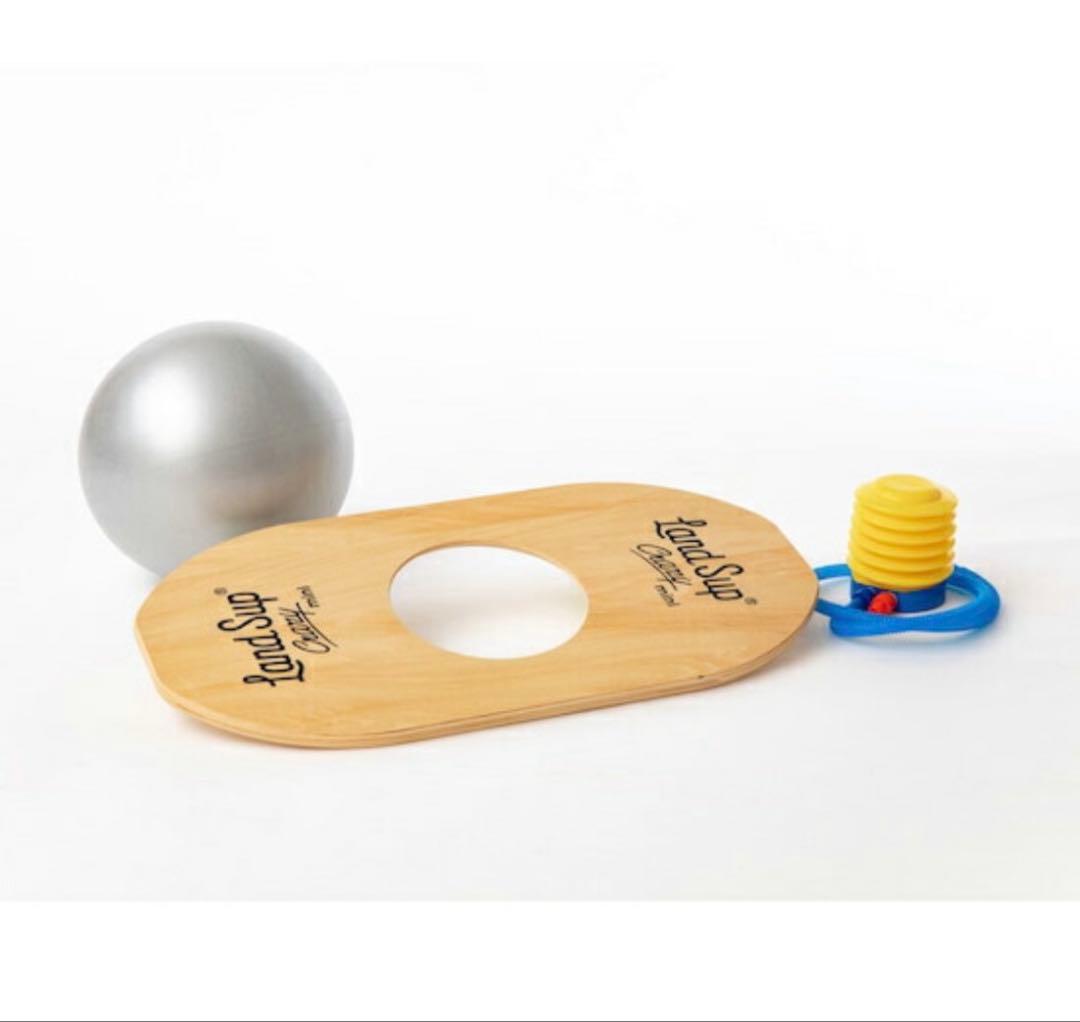 Land sup Crazy mini バランスボード　ランドサップ