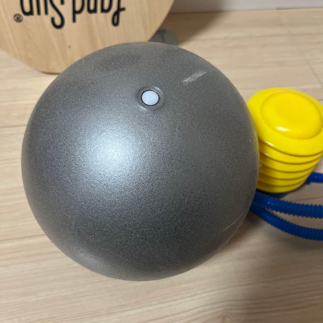 Land sup Crazy mini バランスボード　ランドサップ