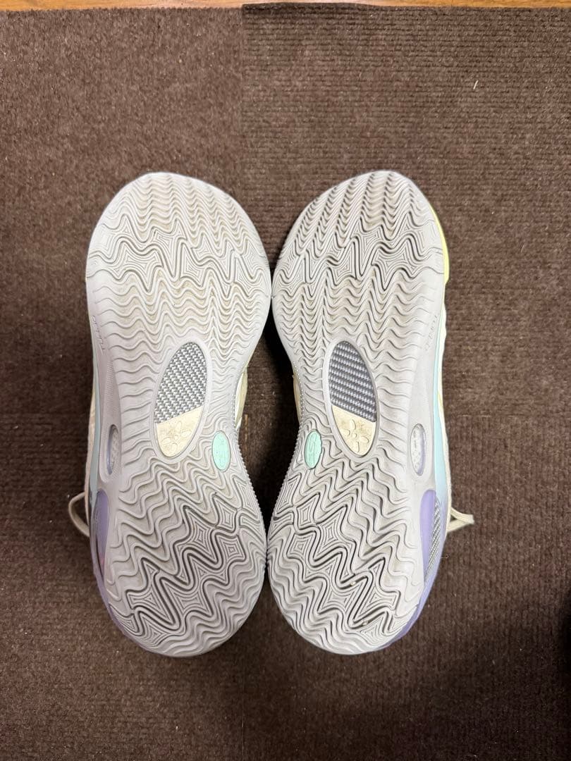【新品未使用】リーニンWADE 808 V2 バスケットボールシューズ バッシュ