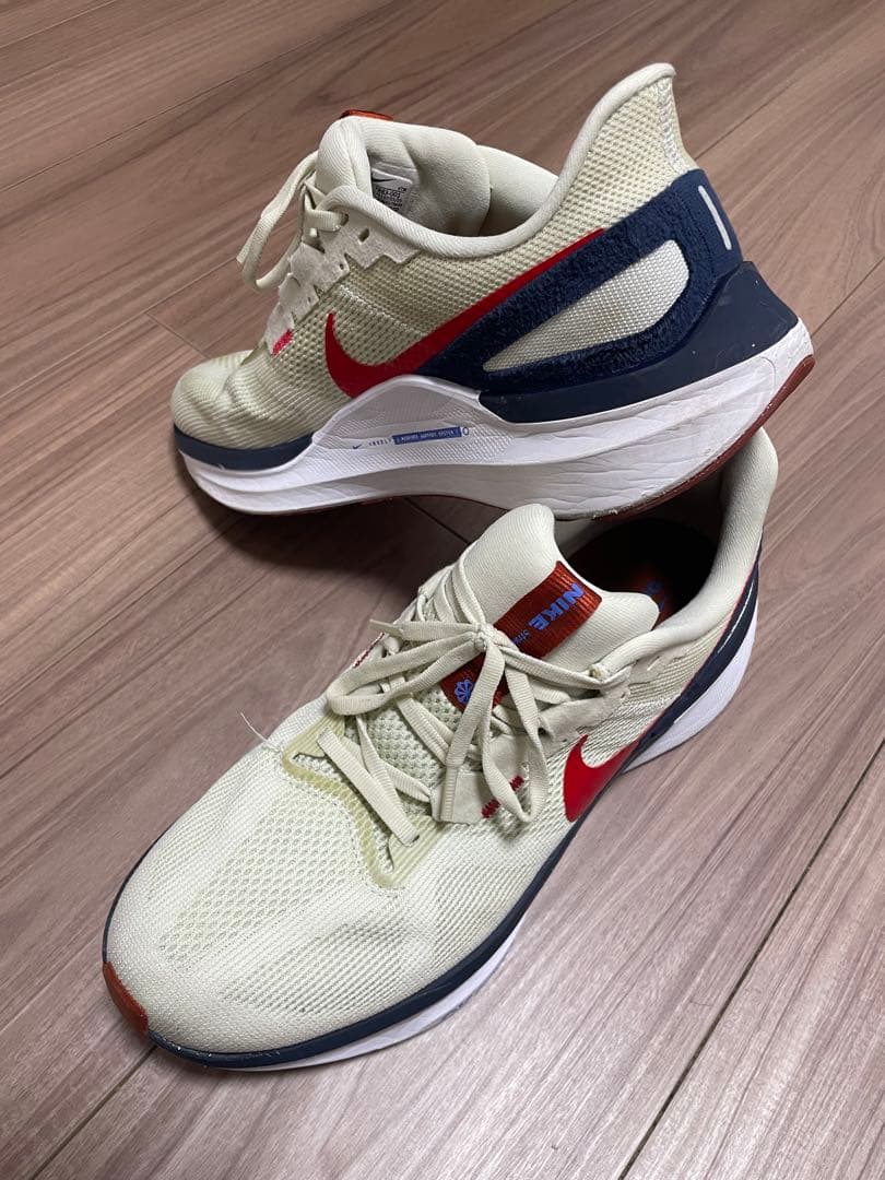 Nike ランニングシューズ 29cm