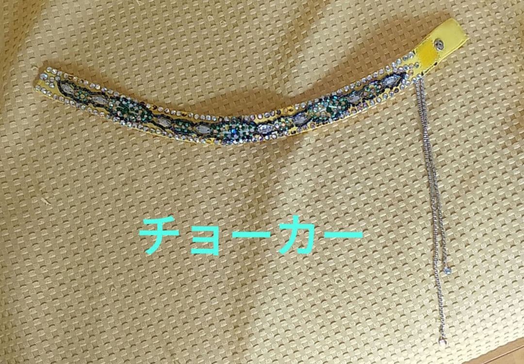社交ダンス スタンダードドレス チョーカー付