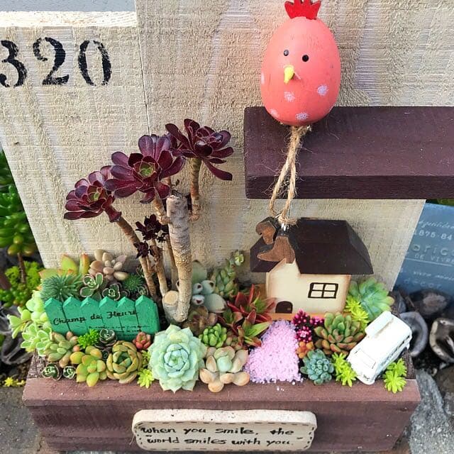 ★多肉植物　寄せ植え〜手作り木製プランターお家寄せ〜★