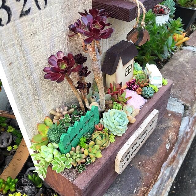 ★多肉植物　寄せ植え〜手作り木製プランターお家寄せ〜★