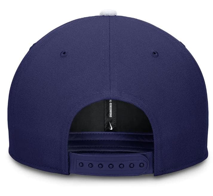 【新品/国内未発売】ナイキ MLB LAドジャーズ ツートンカラー キャップ
