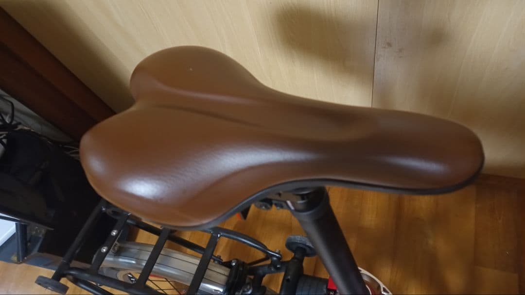 ハリークイン電動アシスト自転車