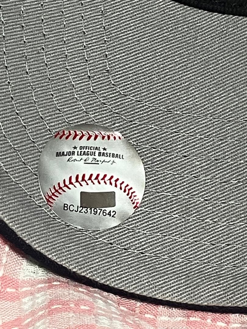 日本未発売　ドジャースMLB 2024 ワールドシリーズ 進出記念キャップ