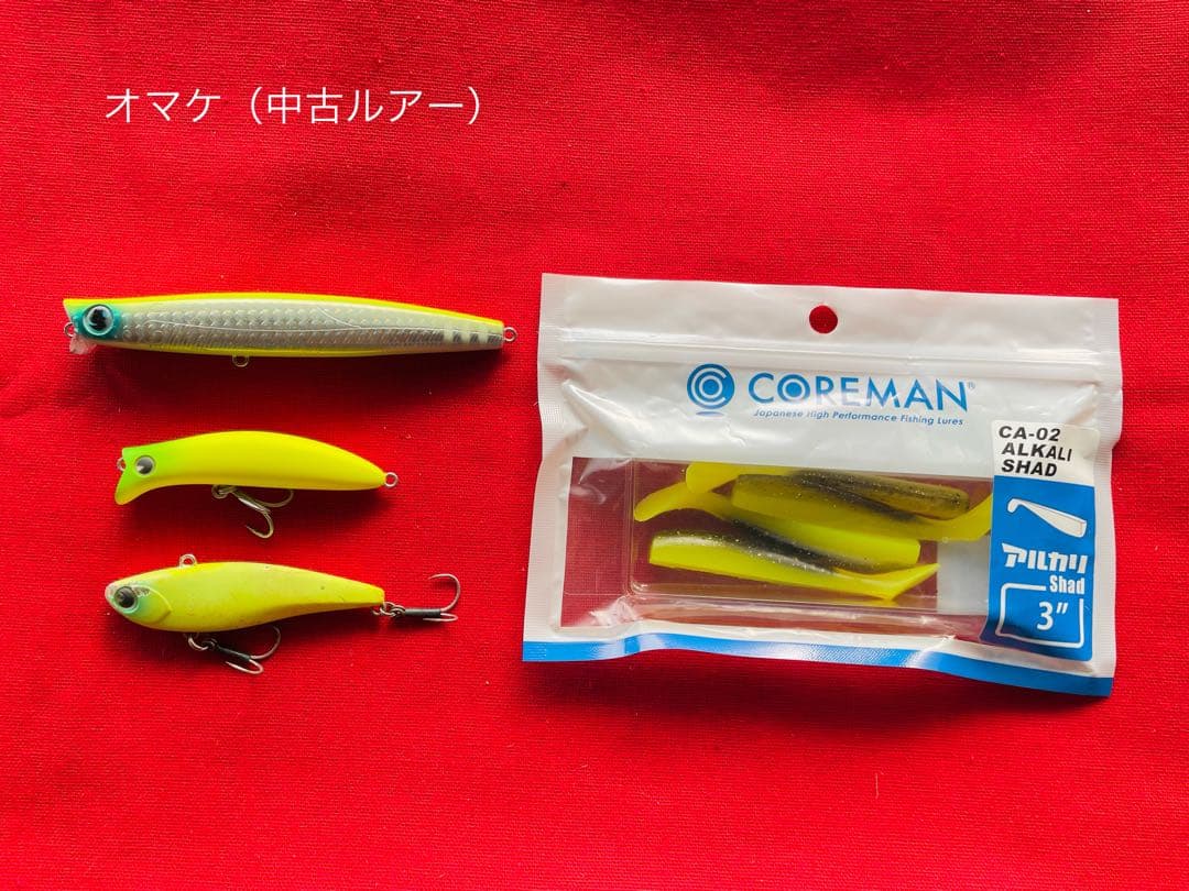 チャートカラールアー9点（カゲロウ、ジンペン他）＋オマケ（ガルバスリム、コモモ）
