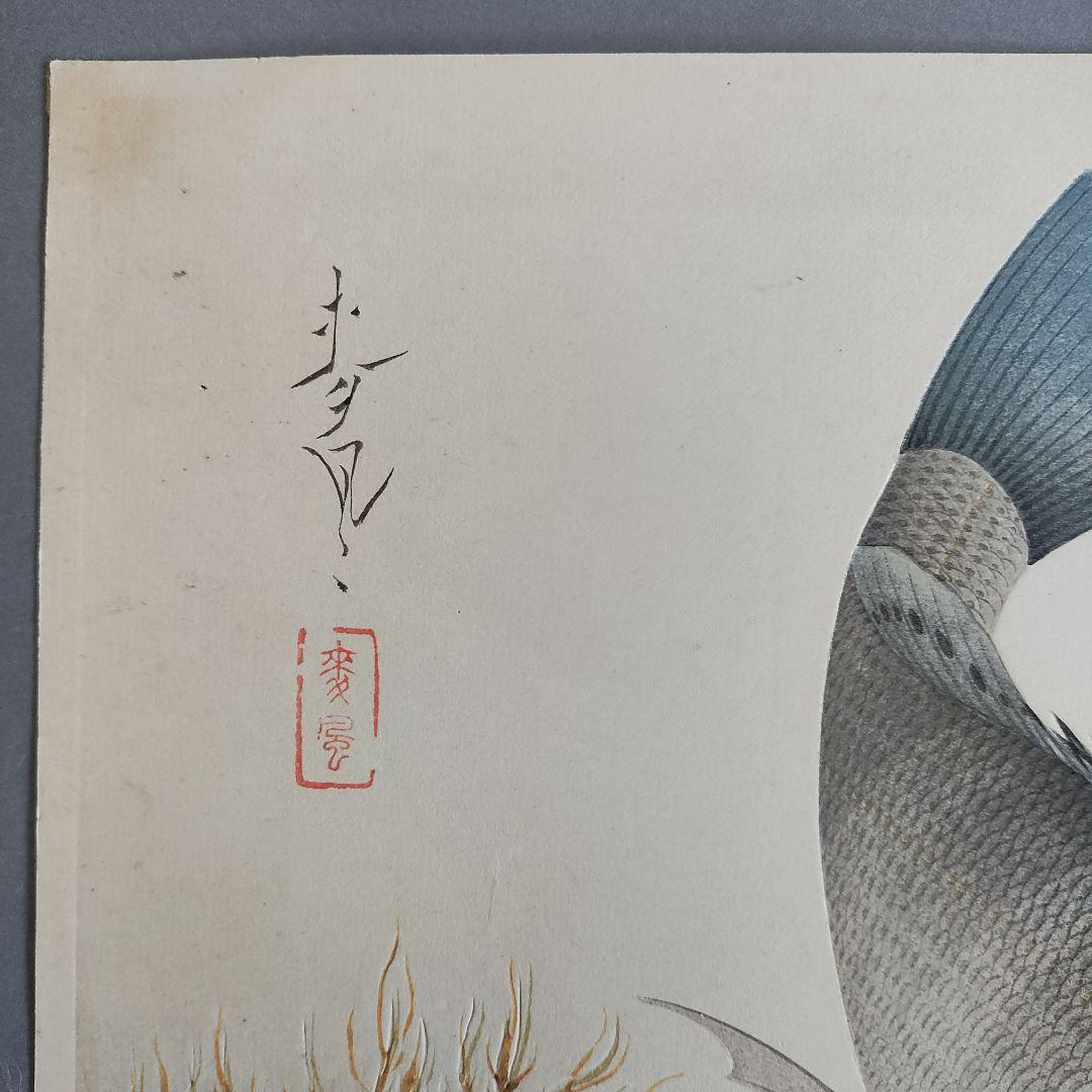 大野麦風　木版画「クロダイ」 大日本魚類画集　 新版画
