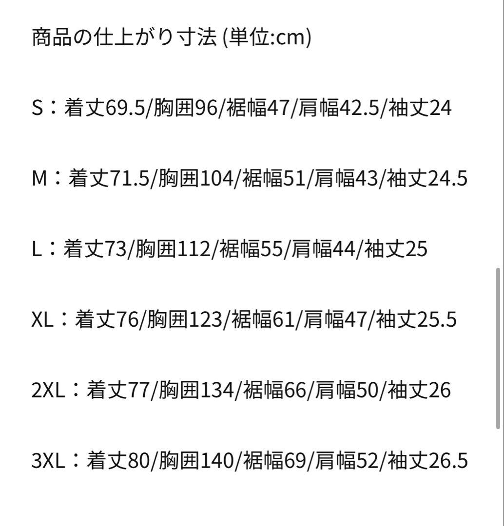 リヴァプール コーディ・ガクポ 24/25 アウェイユニフォーム　PL優勝期