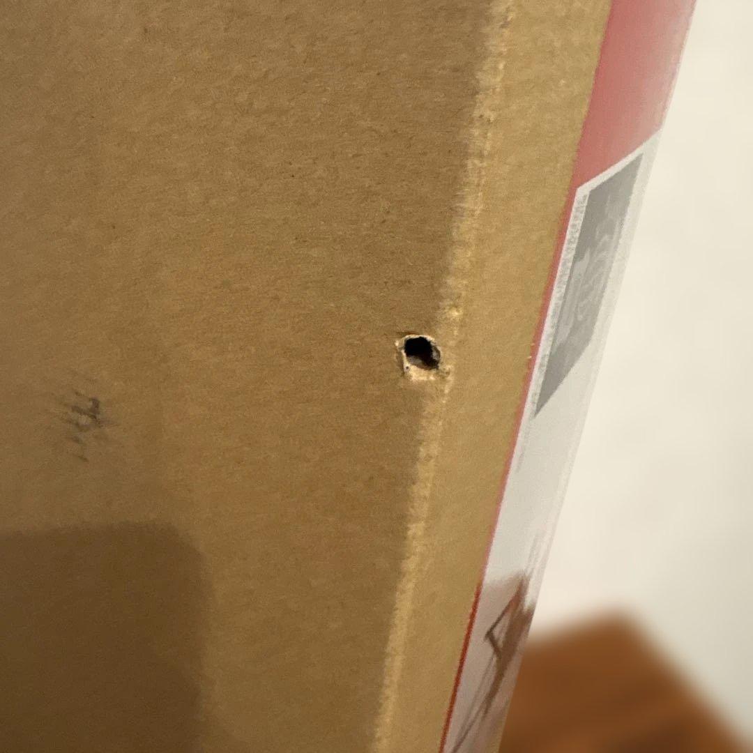 新品未使用 Coleman コールマン レイチェア NX