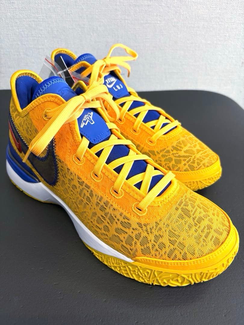 シューズ(男性用) NIKE ZOOM LEBRON NXXT GEN TITAN EP 28cm