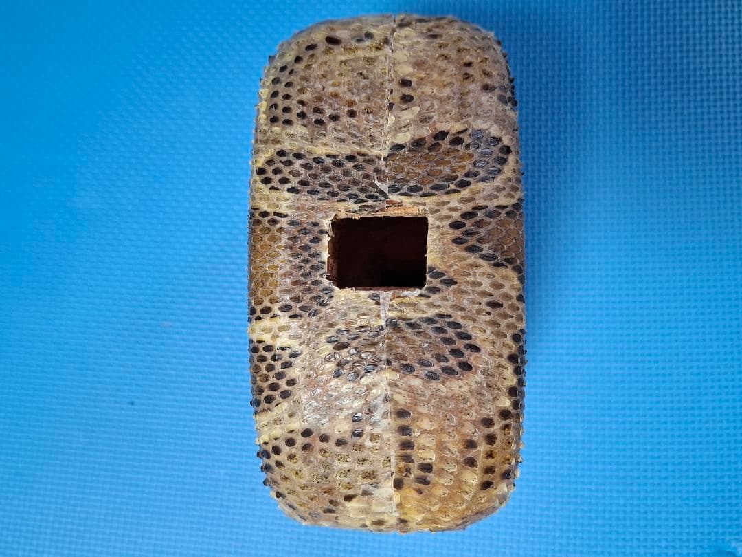 三線チーガ　本皮　強化張り