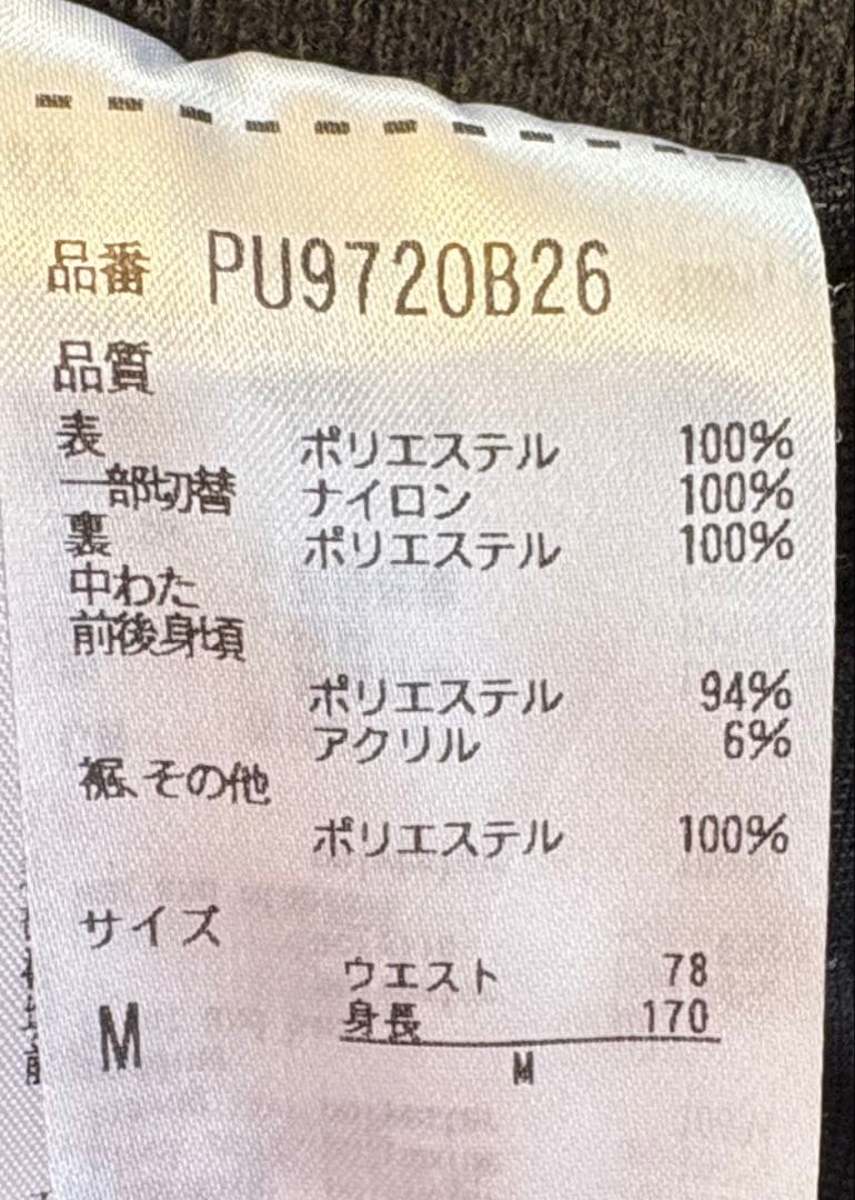 phenixスキーパンツ　メンズM
