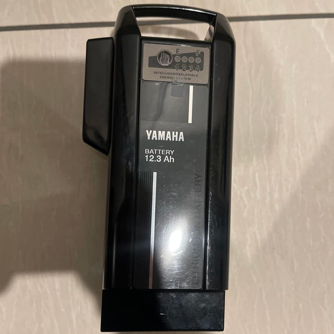 YAMAHA PAS CITY-X 電動アシスト自転車 グリーン　12.3A h
