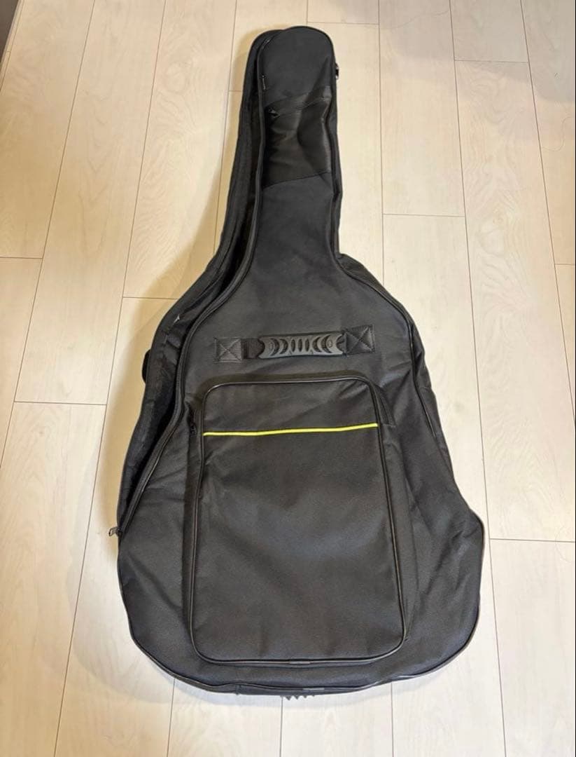 Fender Newporter Player ギグバック付