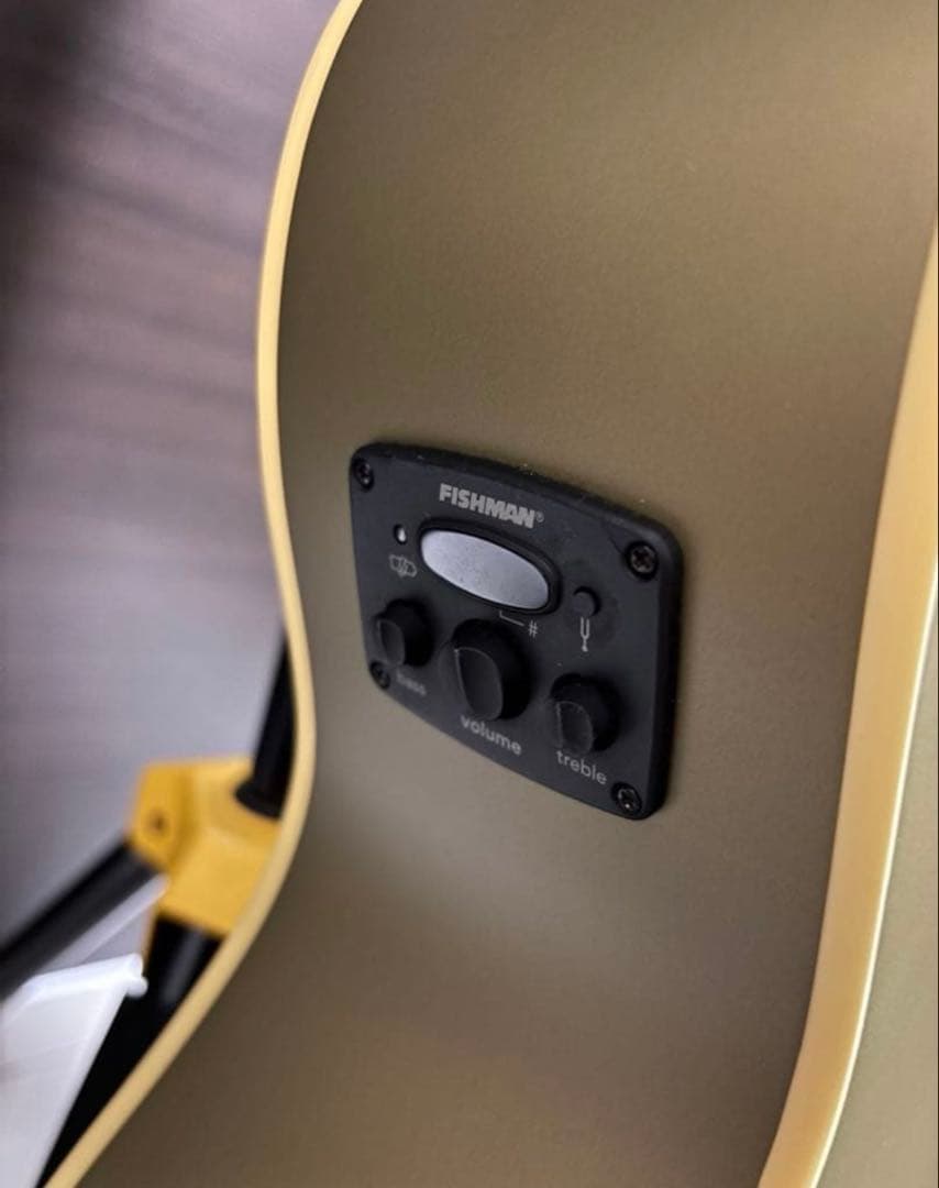 Fender Newporter Player ギグバック付