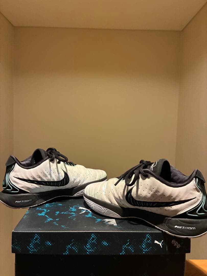 シューズ(男性用) Nike Zoom LEBRON 21 27.5cm