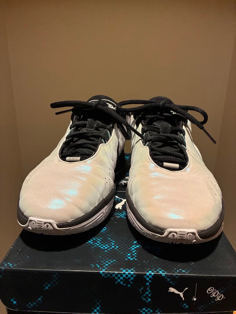 シューズ(男性用) Nike Zoom LEBRON 21 27.5cm