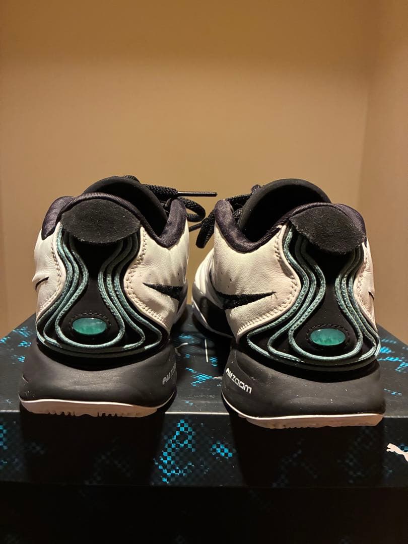 シューズ(男性用) Nike Zoom LEBRON 21 27.5cm