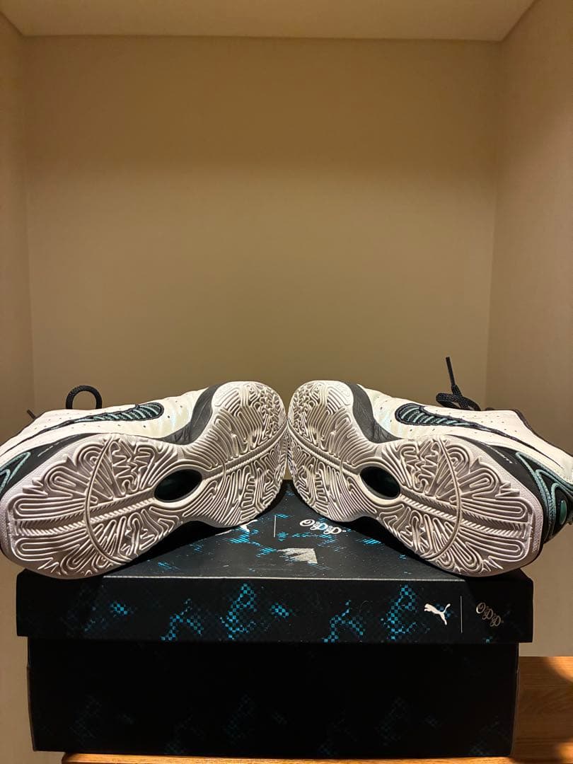 シューズ(男性用) Nike Zoom LEBRON 21 27.5cm