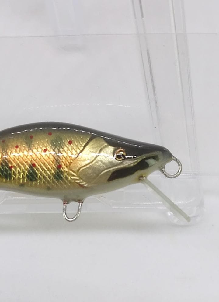 麗’s GOLD 　麗’sミノー　ステイゴールド　50HS　グリーンアマゴ