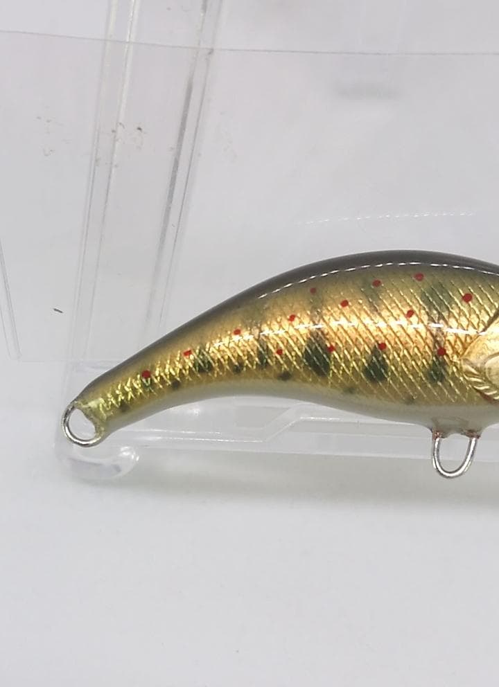 麗’s GOLD 　麗’sミノー　ステイゴールド　50HS　グリーンアマゴ