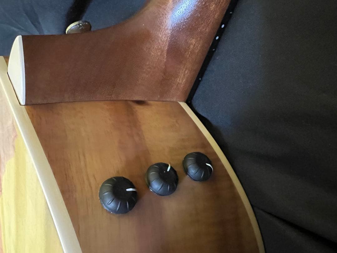 Taylor 214ce-K テイラー　エレアコ　アコースティックギターケース付