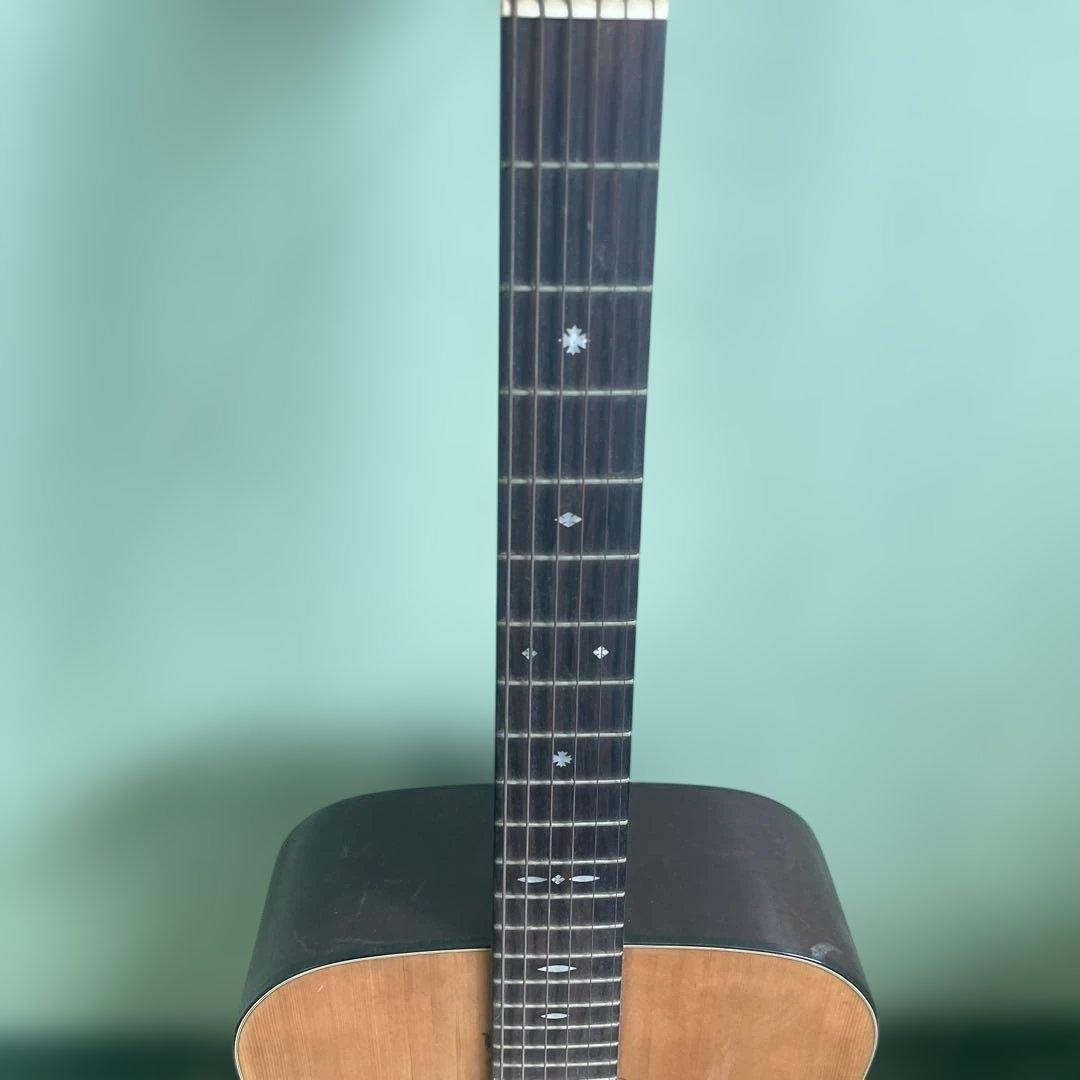 CAT'S EYES アコースティックギター CE-1200M 楽器 小物 格安