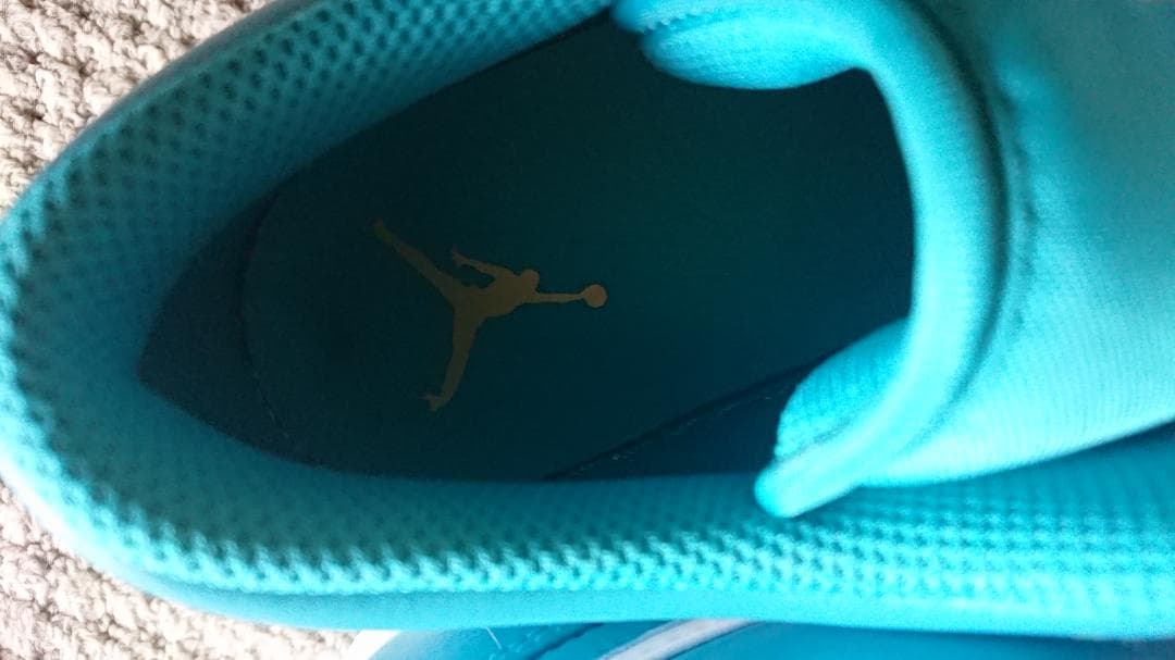 AIR JORDAN 28,5㎝