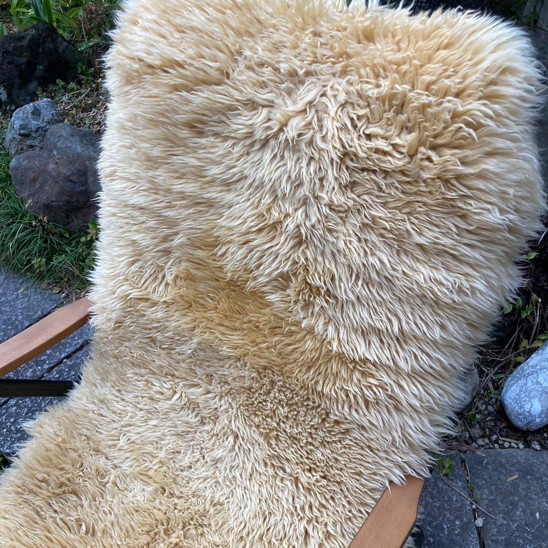 のら出品