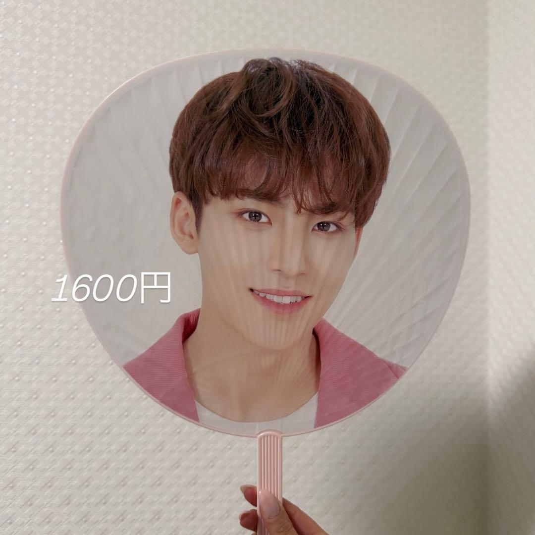 SEVENTEEN MINGYU うちわ まとめ売り