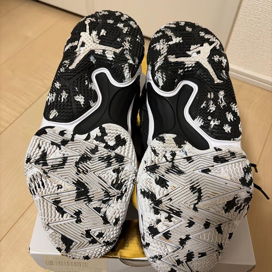 ナイキ ジョーダン WHY NOT .6 PF