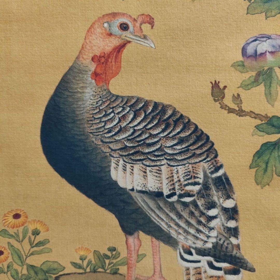 余省 牡丹双绶 中国画 掛け軸 水墨画 和室 玄関 茶室 壁掛け 美術品